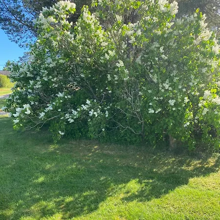 House With Large Garden, Near The Sea In Saltnes * Fredrikstad